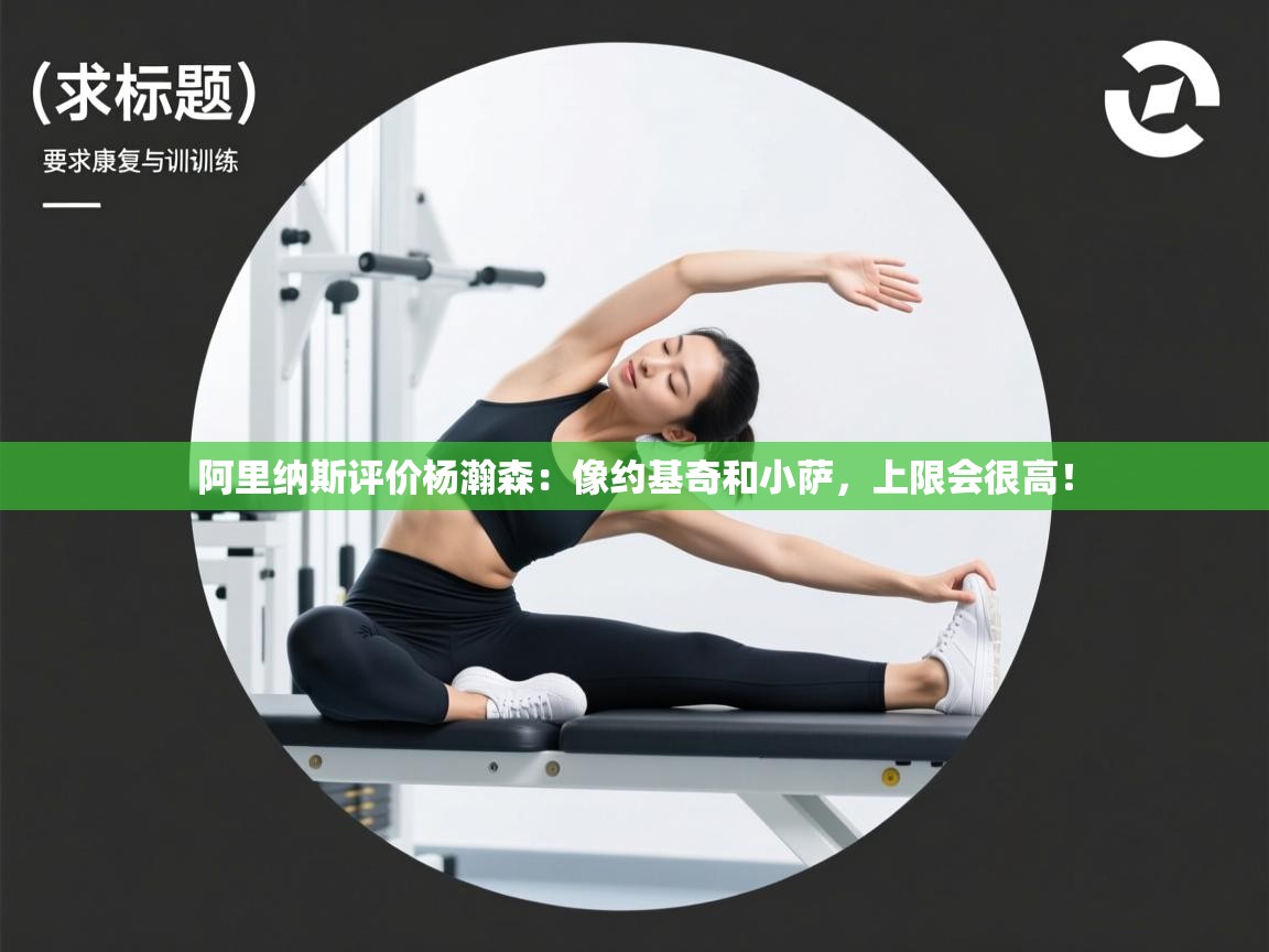 海星体育官网入口-阿里纳斯评价杨瀚森：像约基奇和小萨，上限会很高！  第1张