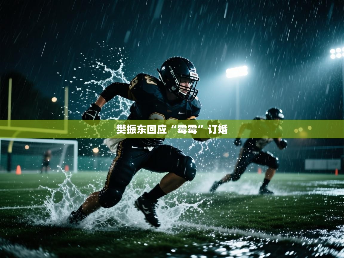 海星体育app官方入口-樊振东回应“霉霉”订婚