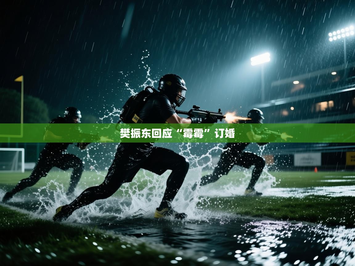 海星体育app官方入口-樊振东回应“霉霉”订婚 第2张