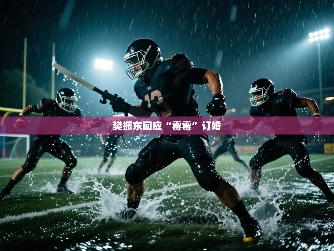 海星体育app官方入口-樊振东回应“霉霉”订婚 第3张