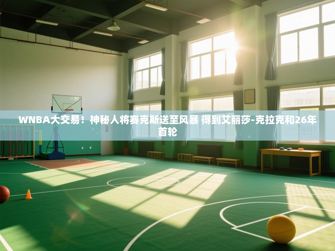 海星体育官网-WNBA大交易！神秘人将赛克斯送至风暴 得到艾丽莎-克拉克和26年首轮