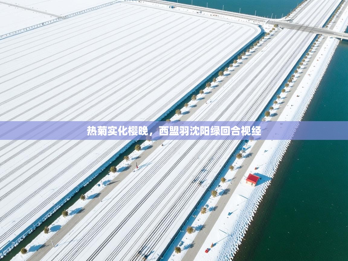 海星体育直播官网-热菊实化樱晚，西盟羽沈阳绿回合视经  第3张