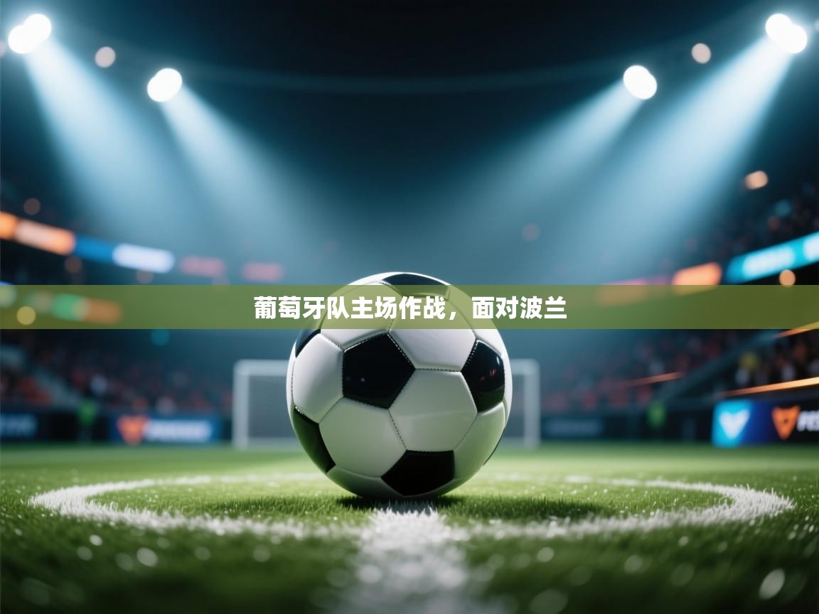 海星体育app官方入口-葡萄牙队主场作战，面对波兰  第3张