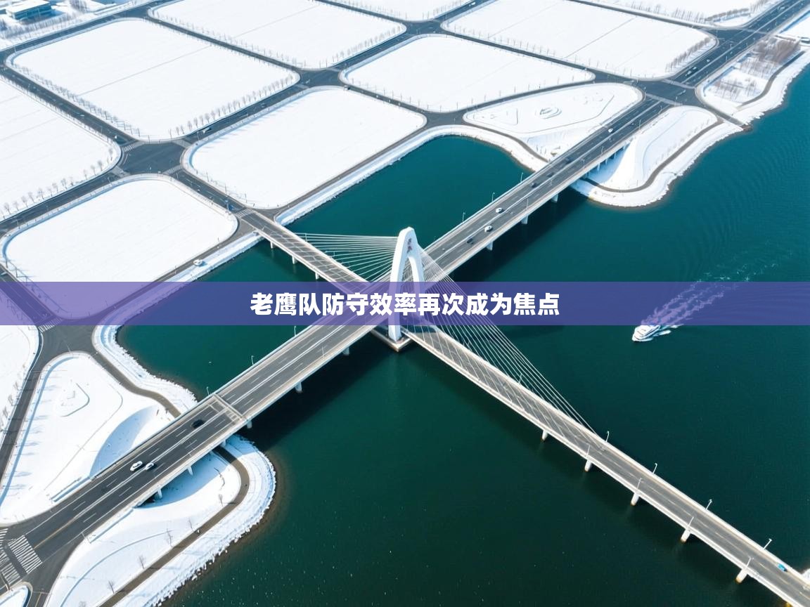 海星体育官网首页-老鹰队防守效率再次成为焦点  第1张