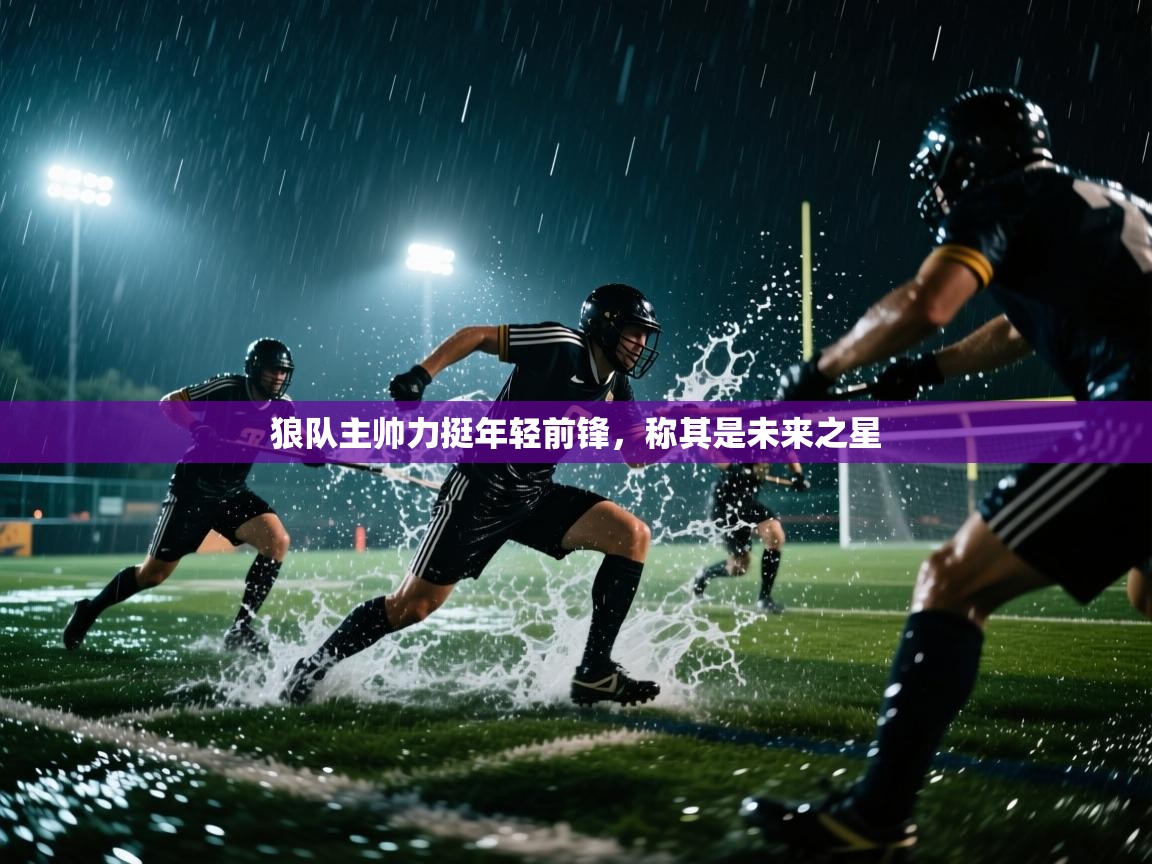 海星体育haixingtv-狼队主帅力挺年轻前锋，称其是未来之星  第3张