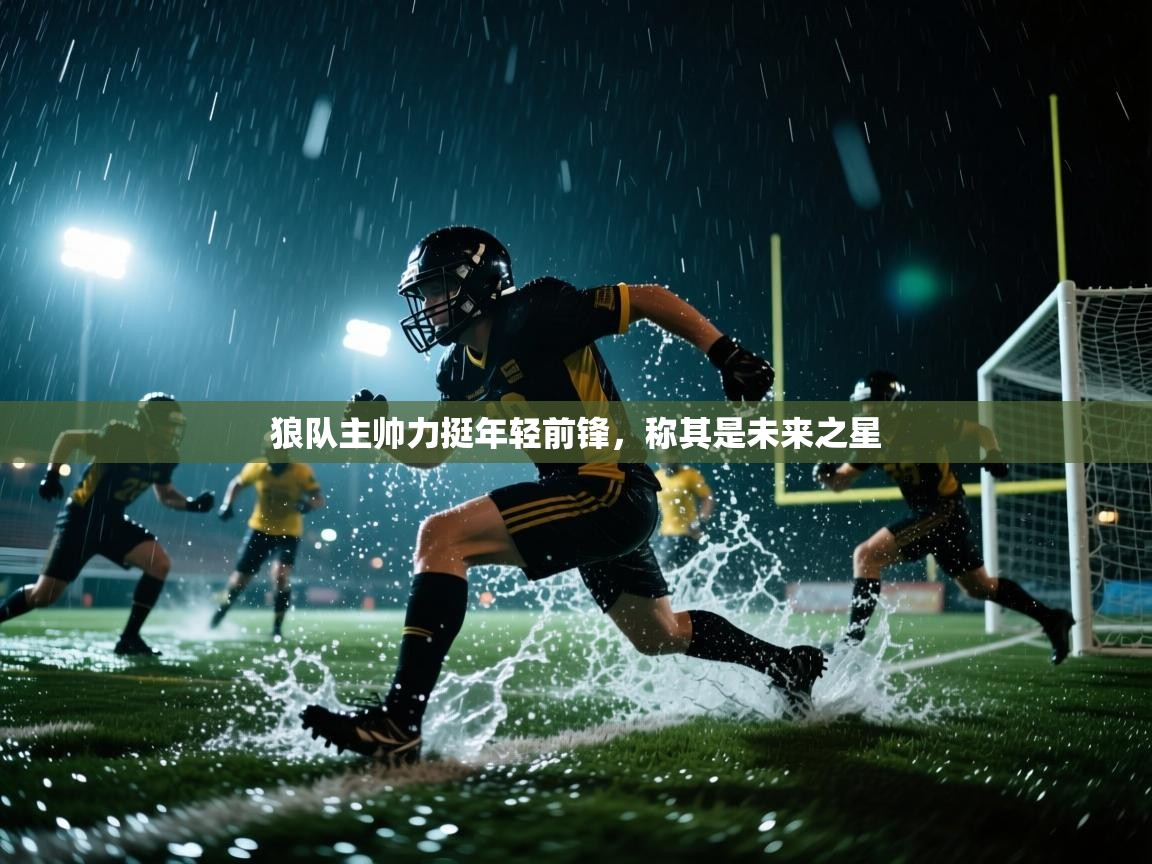 海星体育haixingtv-狼队主帅力挺年轻前锋，称其是未来之星  第2张