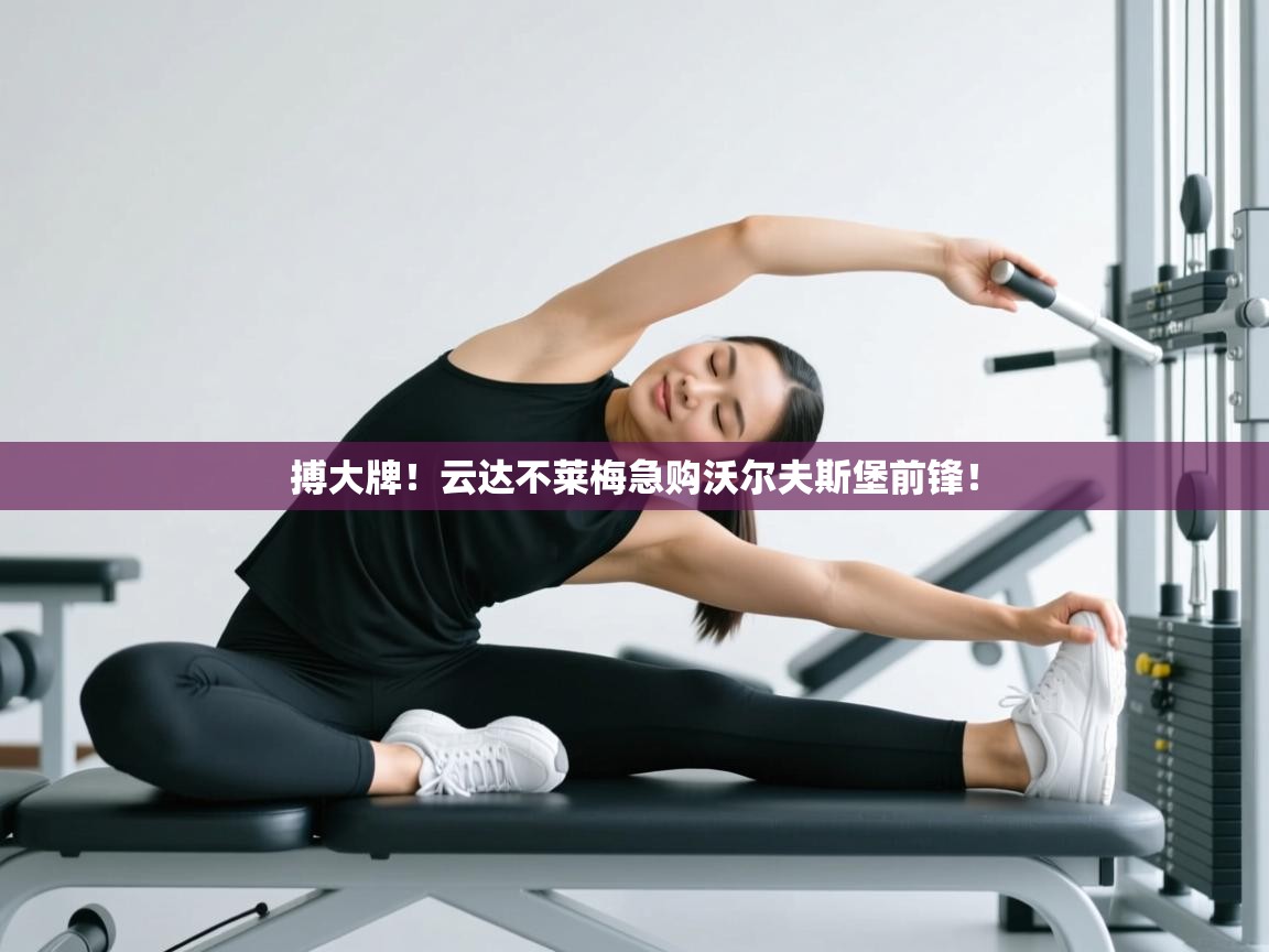 海星体育官方网站-搏大牌！云达不莱梅急购沃尔夫斯堡前锋！