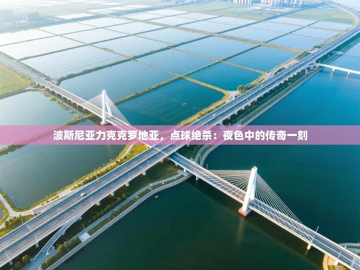 海星体育haixingtv-波斯尼亚力克克罗地亚，点球绝杀：夜色中的传奇一刻  第2张