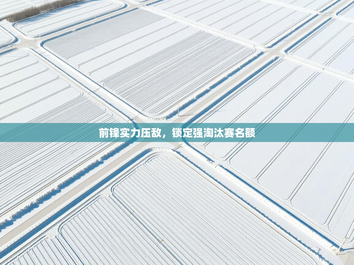 海星体育在线-前锋实力压敌，锁定强淘汰赛名额  第1张