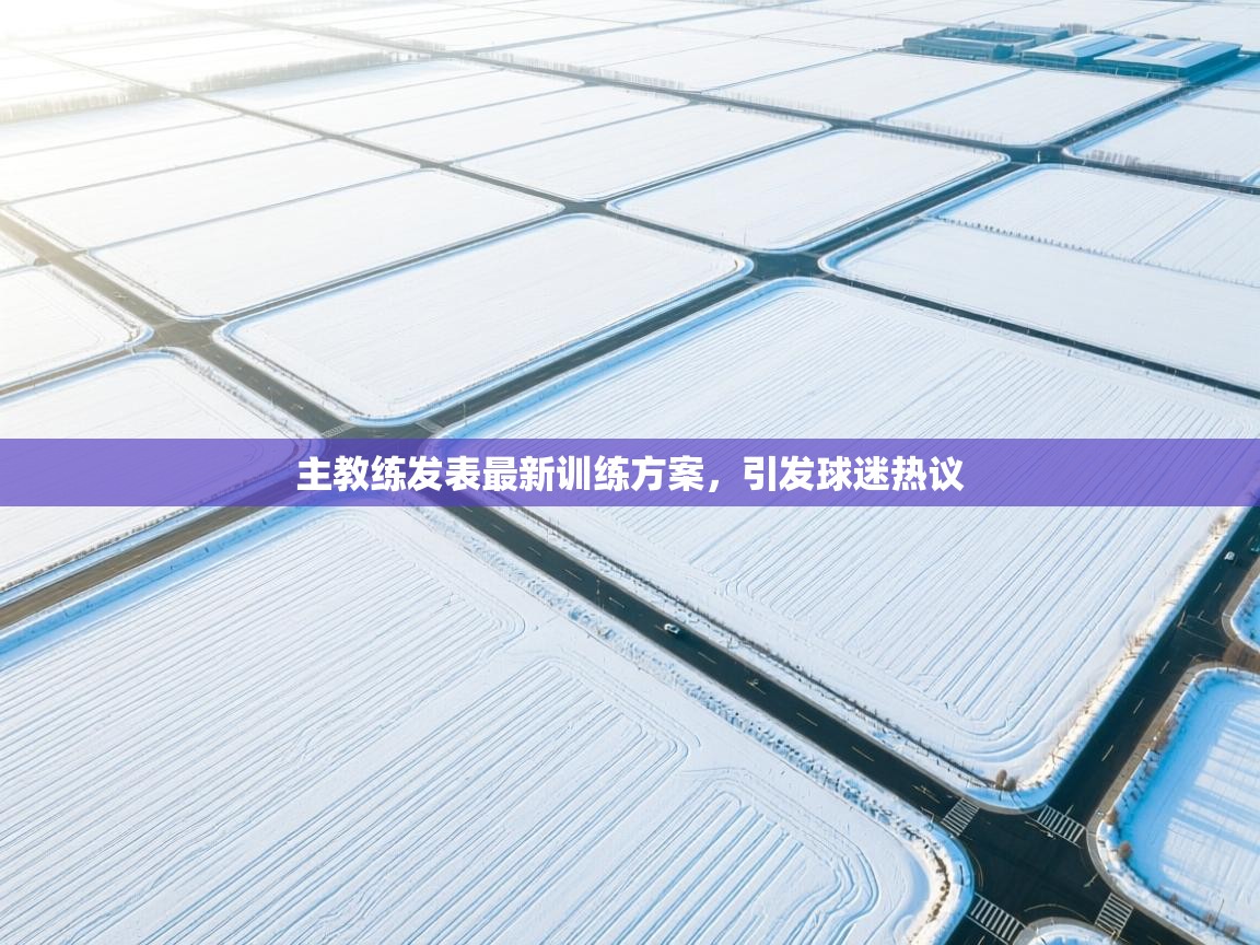 海星体育官网-主教练发表最新训练方案，引发球迷热议  第3张